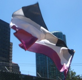 Asexual flag