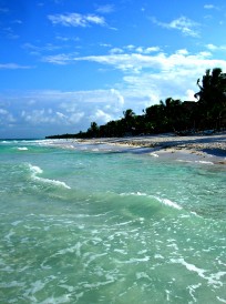 Beach - view