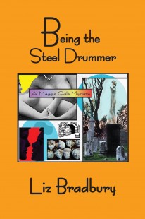 Being the Steel Drummer cover