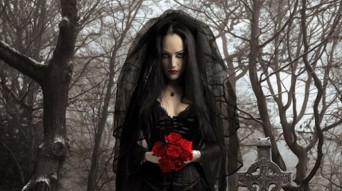 Black widow