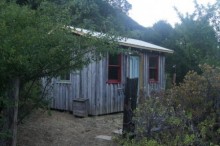 Cabin in the woods