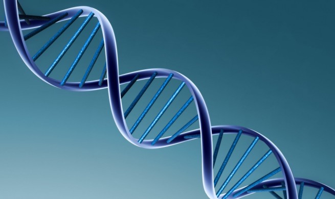 DNA double helix