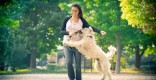 Don’t be reactive: Training you to train your dog Be proactive with training your dog