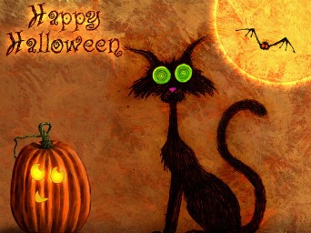 Halloween image with black cat and pumpkin