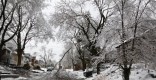 ice storm