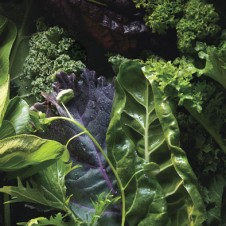 leafy greens