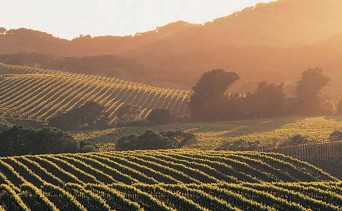 Napa Valley