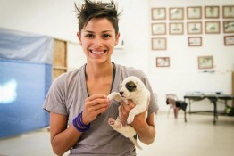 Dogs, cats rejoice: MaeDay to the rescue!