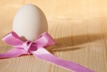 Egg donor