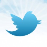 Twitter bird logo