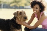 Dominant or not: Should you be worried about your dog’s behavior?