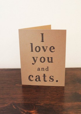 i love you and cats